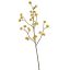 CALICARPA SPRAY 110CM YELLOW