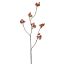 BERRY SPRAY 83CM ORANGE