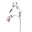 ROSE HIP SPRAY 94CM RED