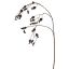 ROSE HIP SPRAY 94CM WINE