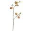 POMEGRANATE BRANCH 95CM YELLOW