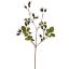 ROSEHIP SPRAY 67CM BLACK