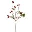 ROSEHIP SPRAY 67CM RED
