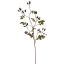 LARGE ROSEHIP SPRAY 95CM BLACK