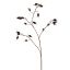 ROSEHIP SPRAY 77CM BLACK