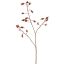 ROSEHIP SPRAY 77CM ORANGE