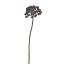 CALICARPA BALL  BRANCH 60CM BLACK