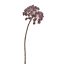 CALICARPA BALL  BRANCH 60CM PURPLE