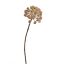 CALICARPA BALL  BRANCH 60CM YELLOW