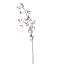 ROSEHIP BRANCH 110CM LILAC