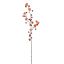 APPLE BERRY BLOSSOM 110CM BEAUTY