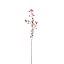 APPLE BERRY BLOSSOM 110CM RED