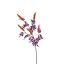 LARGE RHUS TYPINA BERRY 125CM ORANGE
