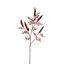 LARGE RHUS TYPINA BERRY 125CM RED