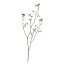 MEDIUM BERRY SPRAY 95CM BLACK