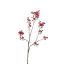 BERRY BRANCH 72CM BURGUNDY