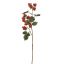 MULBERRY SPRAY 54CM BEAUTY
