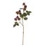 MULBERRY SPRAY 54CM PURPLE