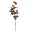 MULBERRY SPRAY 54CM RED