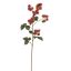 MULBERRY SPRAY 78CM BEAUTY