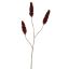 RHUS TYPHINA BERRY 100CM BURGUNDY