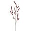 BERRY 114CM BURGUNDY