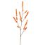 BERRY 114CM ORANGE