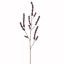 BERRY 114CM PURPLE