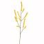 BERRY 114CM YELLOW