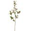 ROSEFRUIT SPRAY 90CM RED