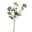 MEDLAR 66CM BROWN