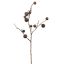 MINI APPLE SPRAY 80CM BROWN