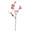 MINI APPLE SPRAY 80CM CORAL