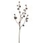 MINI APPLE SPRAY 107CM BROWN
