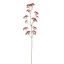 BERRY 110CM RED