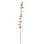 CALLICARPA 105CM PINK