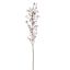 BERRY 121CM LAVENDER
