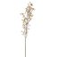 BERRY 121CM YELLOW