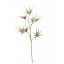 LARGE ACER LEAF 100CM BURGUNDY