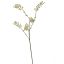 MIMOSA SPRAY 67CM CREAM