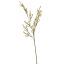 THIN MIMOSA SPRAY 65CM YELLOW