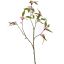 MEDIUM OSMANTHUS SPRAY 70CM PINK