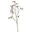LARGE OSMANTHUS SPRAY 110CM PINK