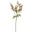 THISTLE BRANCH 60CM SALMON
