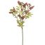 MUSCARI BRANCH 60CM BEAUTY