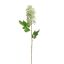 LILAC SPRAY 60CM CREAM