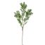 BOXWOOD FLOWER 70CM GREEN