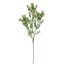 BOXWOOD FLOWER 70CM PEACH
