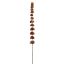 LARGE MOLUCELLIA 120 CM BROWN
