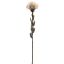 SMALL PROTEA 60CM VANILLE